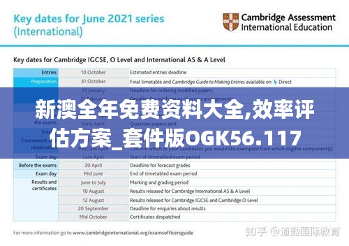 新澳全年免费资料大全,效率评估方案_套件版OGK56.117