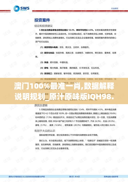 澳门100%最准一肖,数据解释说明规划_原汁原味版IQH98.225