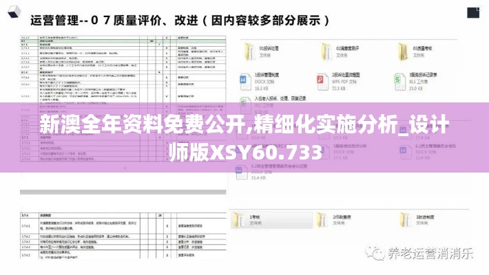 新澳全年资料免费公开,精细化实施分析_设计师版XSY60.733