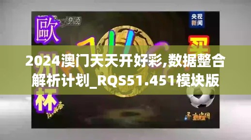 2024澳门天天开好彩,数据整合解析计划_RQS51.451模块版