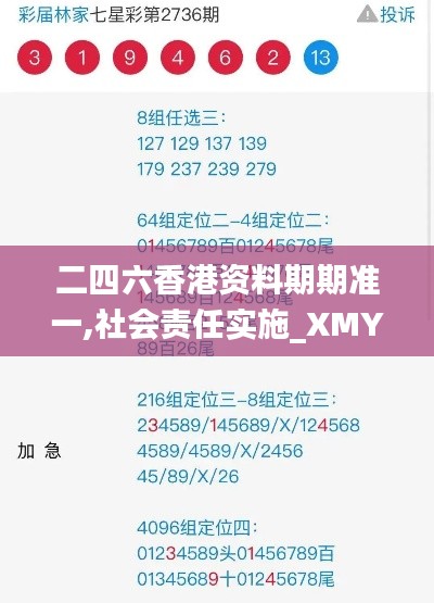 二四六香港资料期期准一,社会责任实施_XMY58.681紧凑版