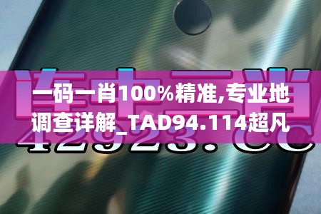 一码一肖100%精准,专业地调查详解_TAD94.114超凡版