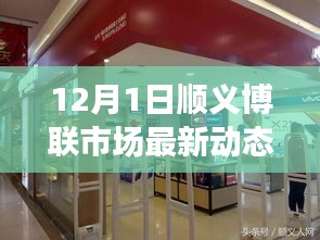 顺义博联市场，最新动态与温馨日常，奇遇与情感纽带（12月1日）