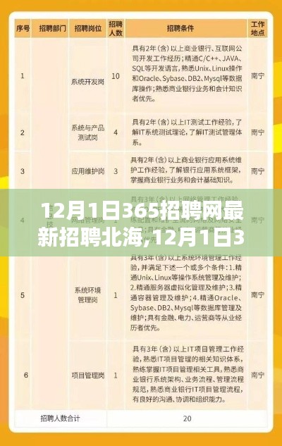 12月1日365招聘网北海最新招聘信息及求职指南