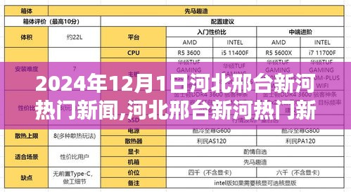 河北邢台新河热门新闻聚焦，观点分析与热议（2024年12月1日）