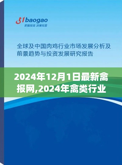 2024年禽类行业展望与禽报网禽业发展分析