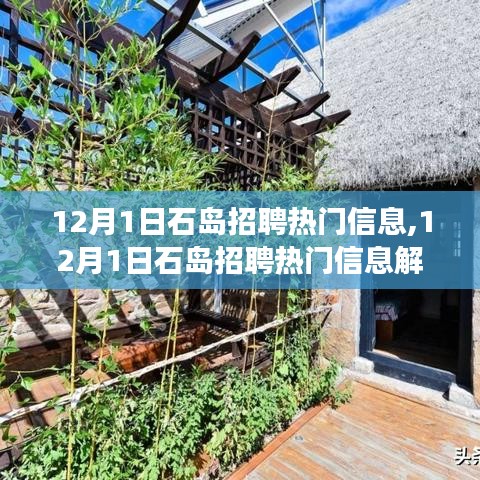 12月1日石岛招聘热门信息解析，就业市场的新机遇与挑战探讨