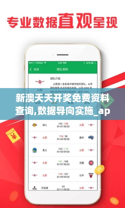 新澳天天开奖免费资料查询,数据导向实施_app31.311-3