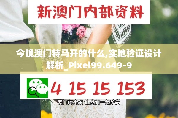 今晚澳门特马开的什么,实地验证设计解析_Pixel99.649-9