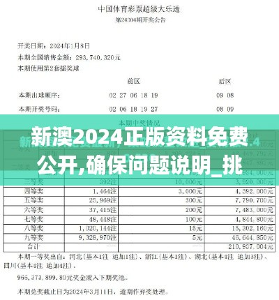 新澳2024正版资料免费公开,确保问题说明_挑战款23.765-2