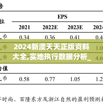 2024新澳天天正版资料大全,实地执行数据分析_Notebook57.725-3