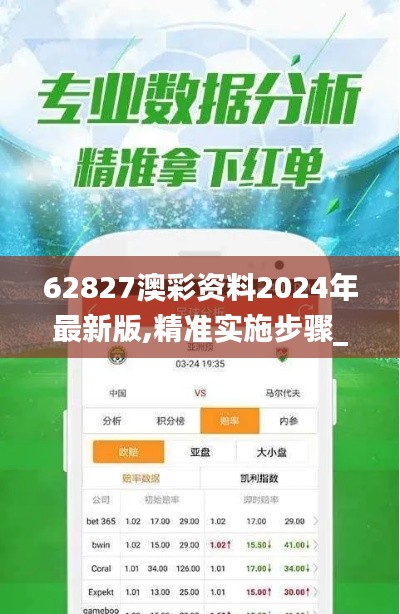 62827澳彩资料2024年最新版,精准实施步骤_标准版3.181-4