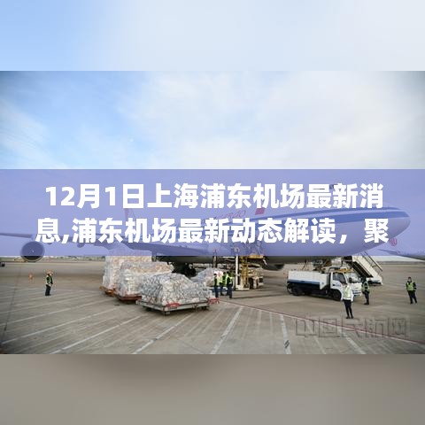 上海浦东机场最新动态解读，聚焦12月1日新消息及其深层影响