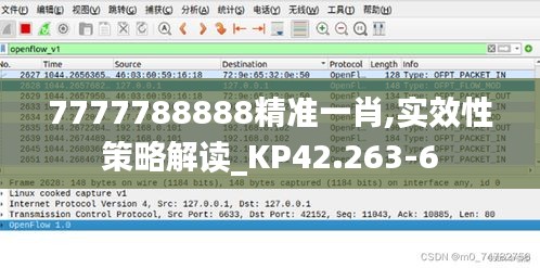 7777788888精准一肖,实效性策略解读_KP42.263-6