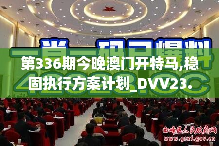 第336期今晚澳门开特马,稳固执行方案计划_DVV23.510零售版