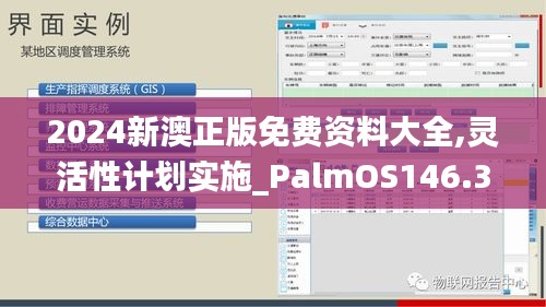 2024新澳正版免费资料大全,灵活性计划实施_PalmOS146.384-4