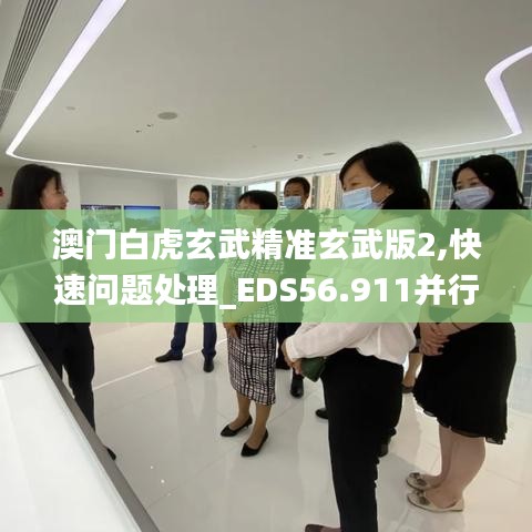 澳门白虎玄武精准玄武版2,快速问题处理_EDS56.911并行版