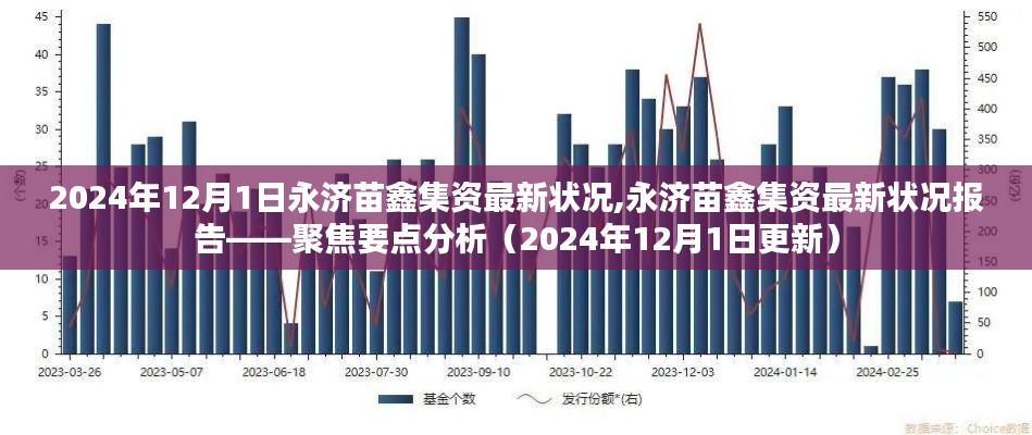 永济苗鑫集资最新状况报告解析（2024年12月1日更新聚焦）