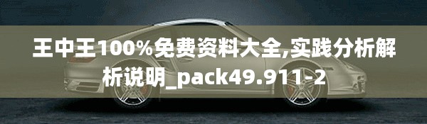 王中王100%免费资料大全,实践分析解析说明_pack49.911-2