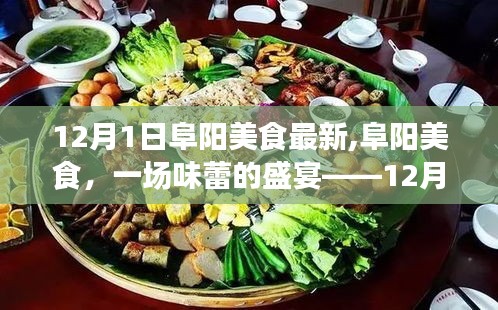 阜阳美食盛宴，最新美食动态，味蕾的狂欢——12月1日美食新篇章