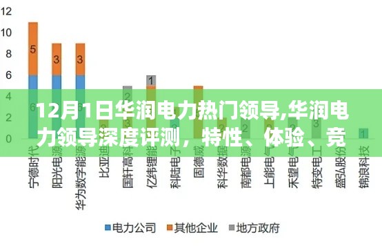 华润电力领导深度解析，特性、体验、竞品对比及用户洞察，12月热门领导评测报告