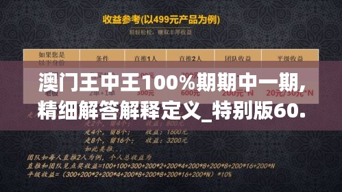 澳门王中王100%期期中一期,精细解答解释定义_特别版60.276-7