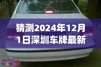 探索深圳车牌新风尚，启程寻找内心宁静绿洲（预测至2024年）