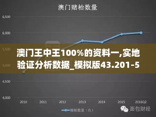 澳门王中王100%的资料一,实地验证分析数据_模拟版43.201-5