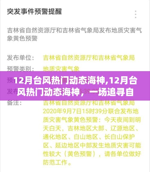 12月台风热门动态，追寻自然美景的海神心灵之旅