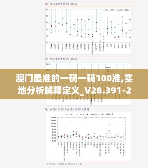 澳门最准的一码一码100准,实地分析解释定义_V28.391-2