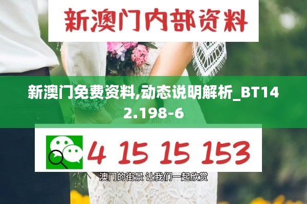 新澳门免费资料,动态说明解析_BT142.198-6