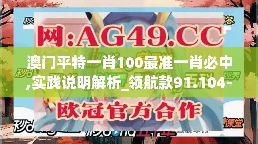 澳门平特一肖100最准一肖必中,实践说明解析_领航款91.104-8