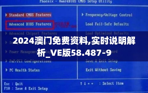 2024澳门免费资料,实时说明解析_VE版58.487-9