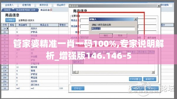 管家婆精准一肖一码100%,专家说明解析_增强版146.146-5