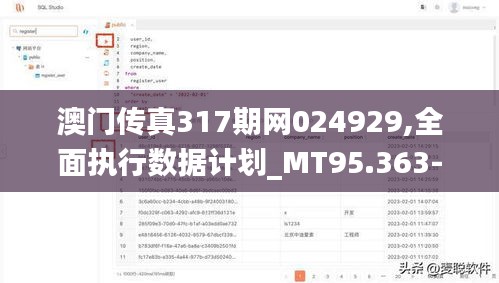 澳门传真317期网024929,全面执行数据计划_MT95.363-6