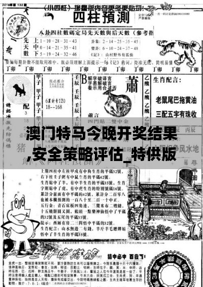 澳门特马今晚开奖结果,安全策略评估_特供版23.188-2