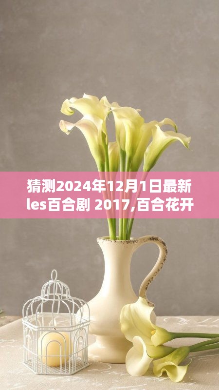 2024年温馨百合日常，百合花开，心之陪伴