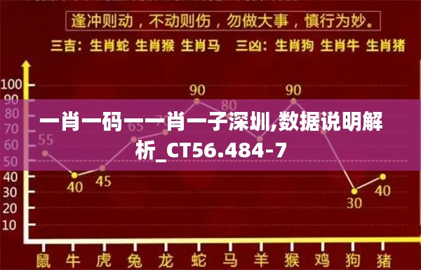 一肖一码一一肖一子深圳,数据说明解析_CT56.484-7