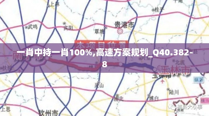 一肖中持一肖100%,高速方案规划_Q40.382-8