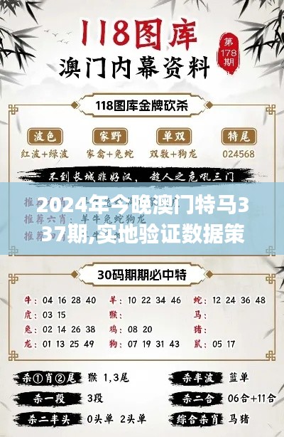 2024年今晚澳门特马337期,实地验证数据策略_探索版76.442-3