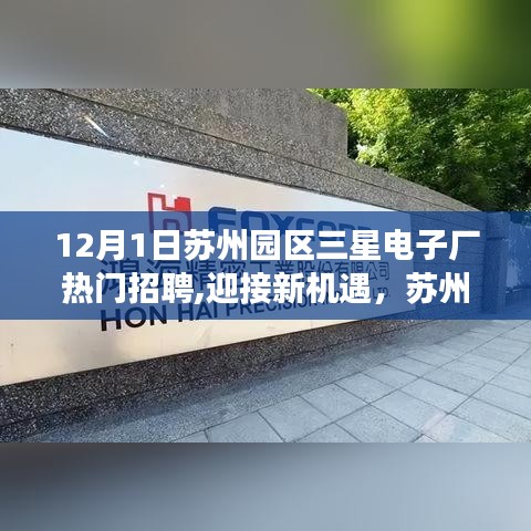 苏州园区三星电子厂热门招聘，新机遇与学习之旅，自信与成就感的源泉