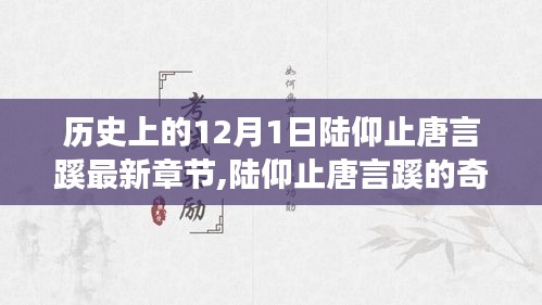 陆仰止唐言蹊的奇妙探险，自然美景之旅的启程日——12月1日