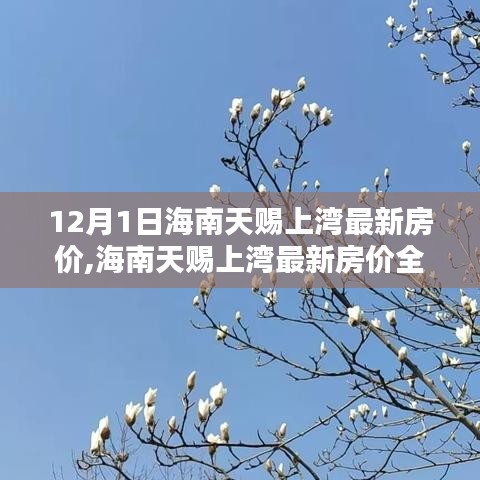 海南天赐上湾最新房价解析及购房指南，步骤详解与房价动态更新