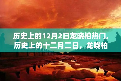 历史上的十二月二日，龙晓柏现象深度解析与热门回顾