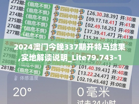 2024澳门今晚337期开特马结果,实地解读说明_Lite79.743-1