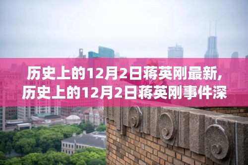 蒋英刚事件深度解析，一个独特观点下的涉政问题探讨（深度报道）