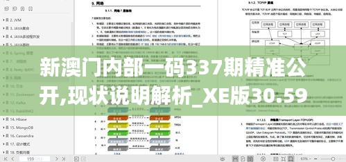 新澳门内部一码337期精准公开,现状说明解析_XE版30.590-6