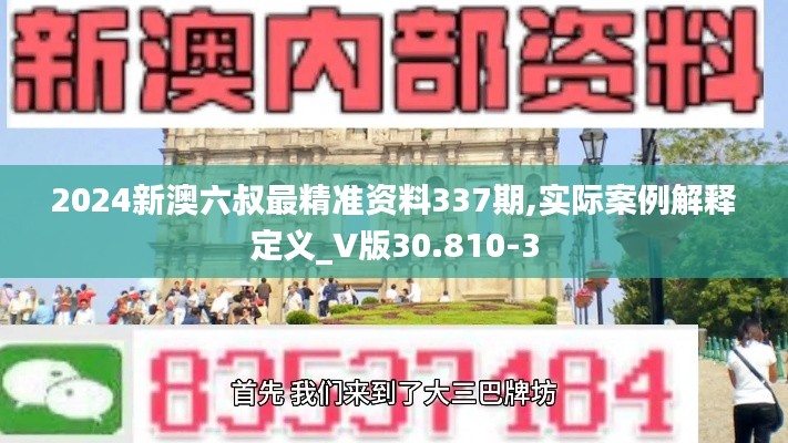 2024新澳六叔最精准资料337期,实际案例解释定义_V版30.810-3