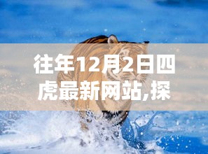 探秘往年12月2日四虎最新网站，小巷深处的独特风味小店揭秘。