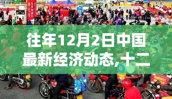 往年12月2日中国最新经济动态概览，经济暖流中的温馨日常